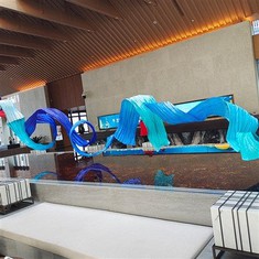 Посебна уметност уметност