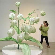 Ђурђевак на папиру долине